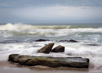 Coquina Rocks