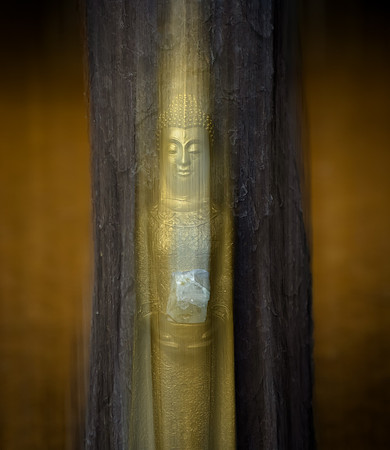 Crystal Buddha - (ICM) - Blue Ribbon