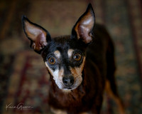 Sweet Trina!