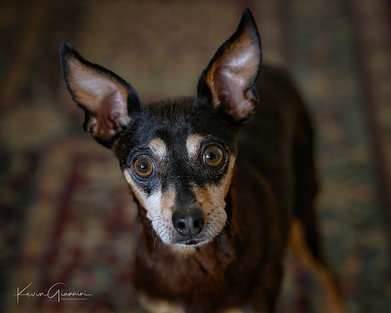 Sweet Trina!
