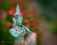 Macro