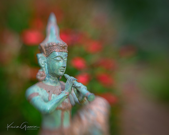 Macro