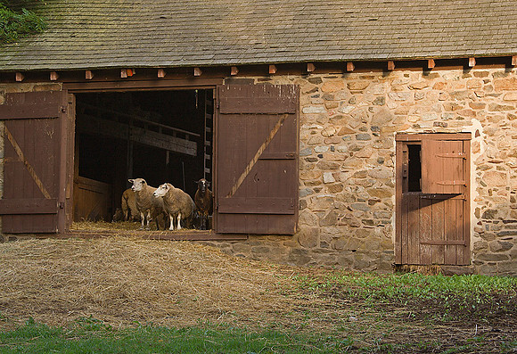 Neely Farm