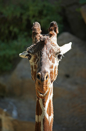 Philadelphia Zoo