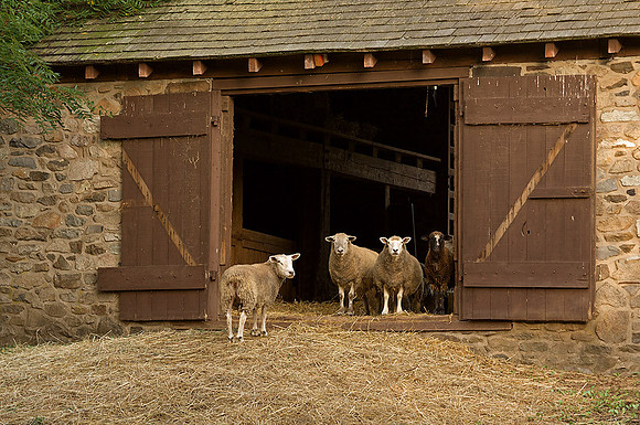 Neely Farm