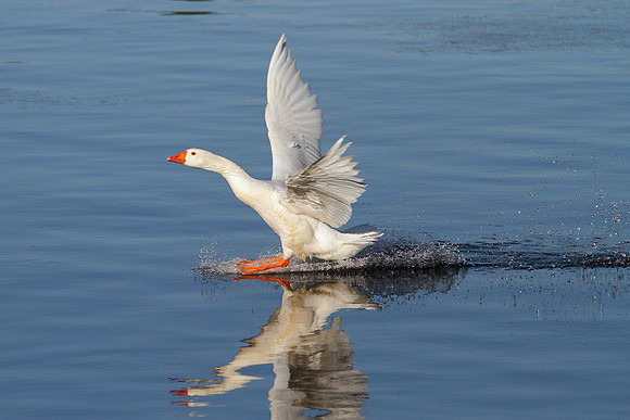 Landing Part I