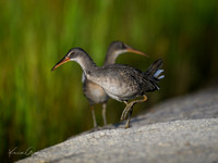 Clapper Rails