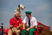 The dalmatian takes his place