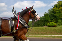 Parading by