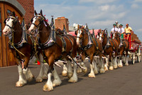 Making their way out of the Eagle Co. Firehouse