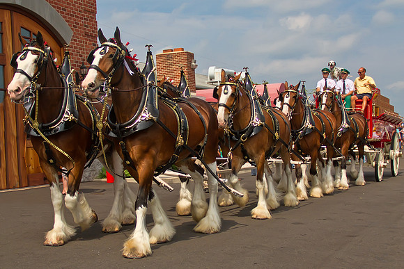 Making their way out of the Eagle Co. Firehouse