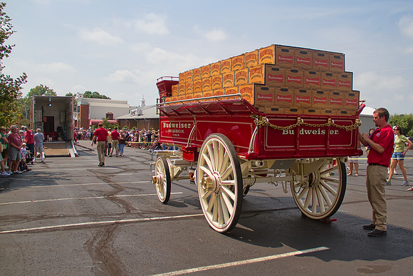 Now, the Clydesdales