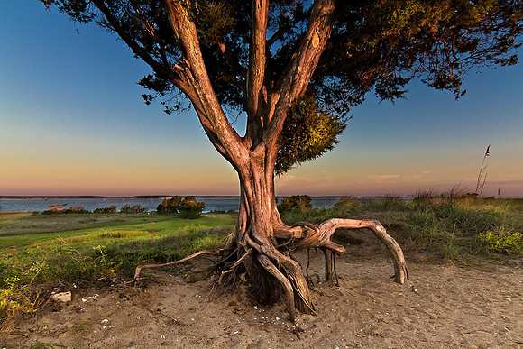 Fort Fisher at Dawn