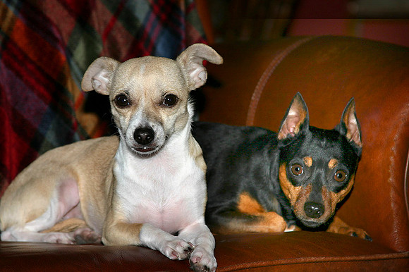 Frida and Maddy