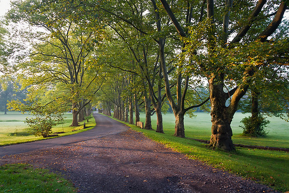 The Grounds at Fonthill