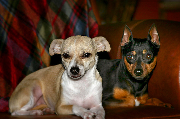 Two angels