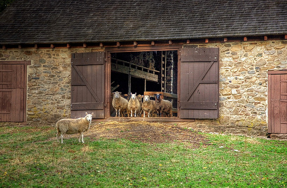 Neely Farm