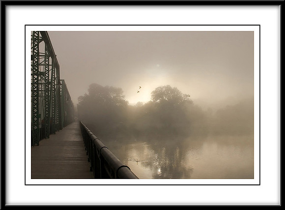 Early Morning Fog
