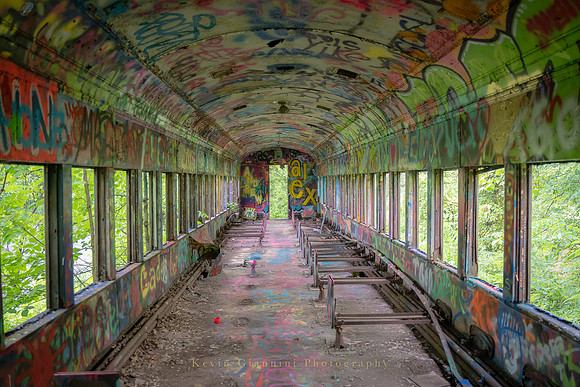 Grafitti Train