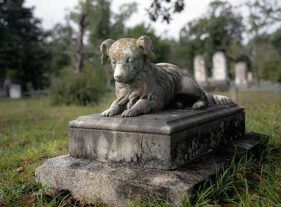 Oakdale Cemetery
