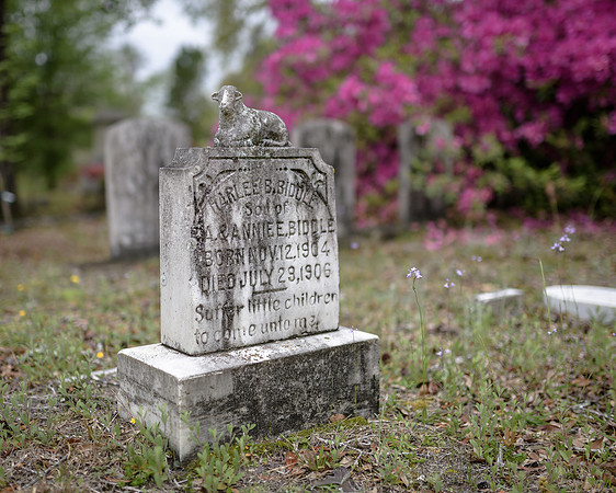 Oakdale Cemetery