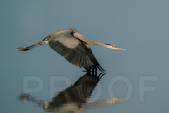 GBH Skimming the surface