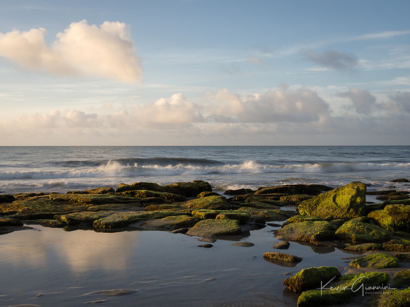 Coquina Rocks