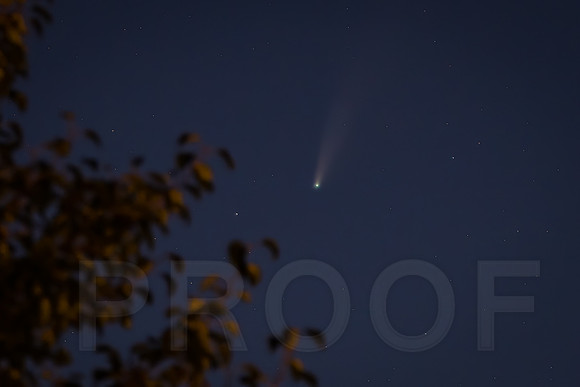 Comet Neowise