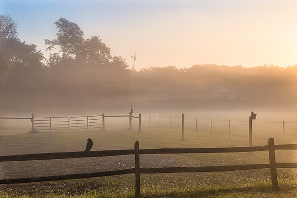Foggy morning along the canal