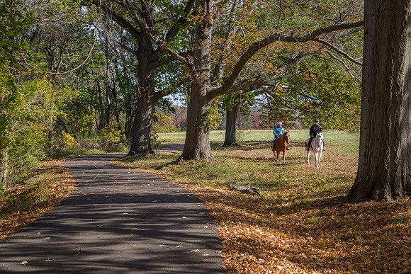 Horseback riders at Tyler State Park