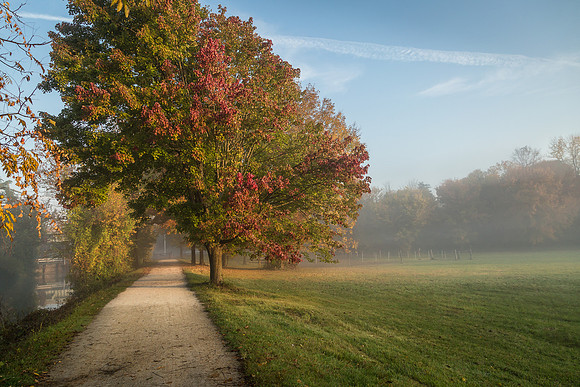 Autumn morning along the canal