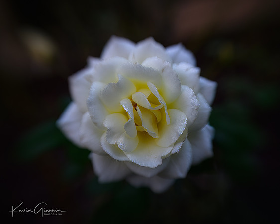 Macro